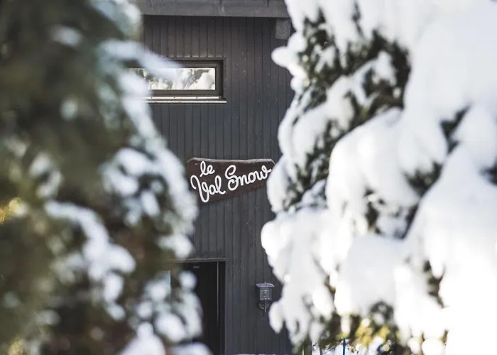 Uccelli - Cocoon Just A Stone's Throw From The Centre Of